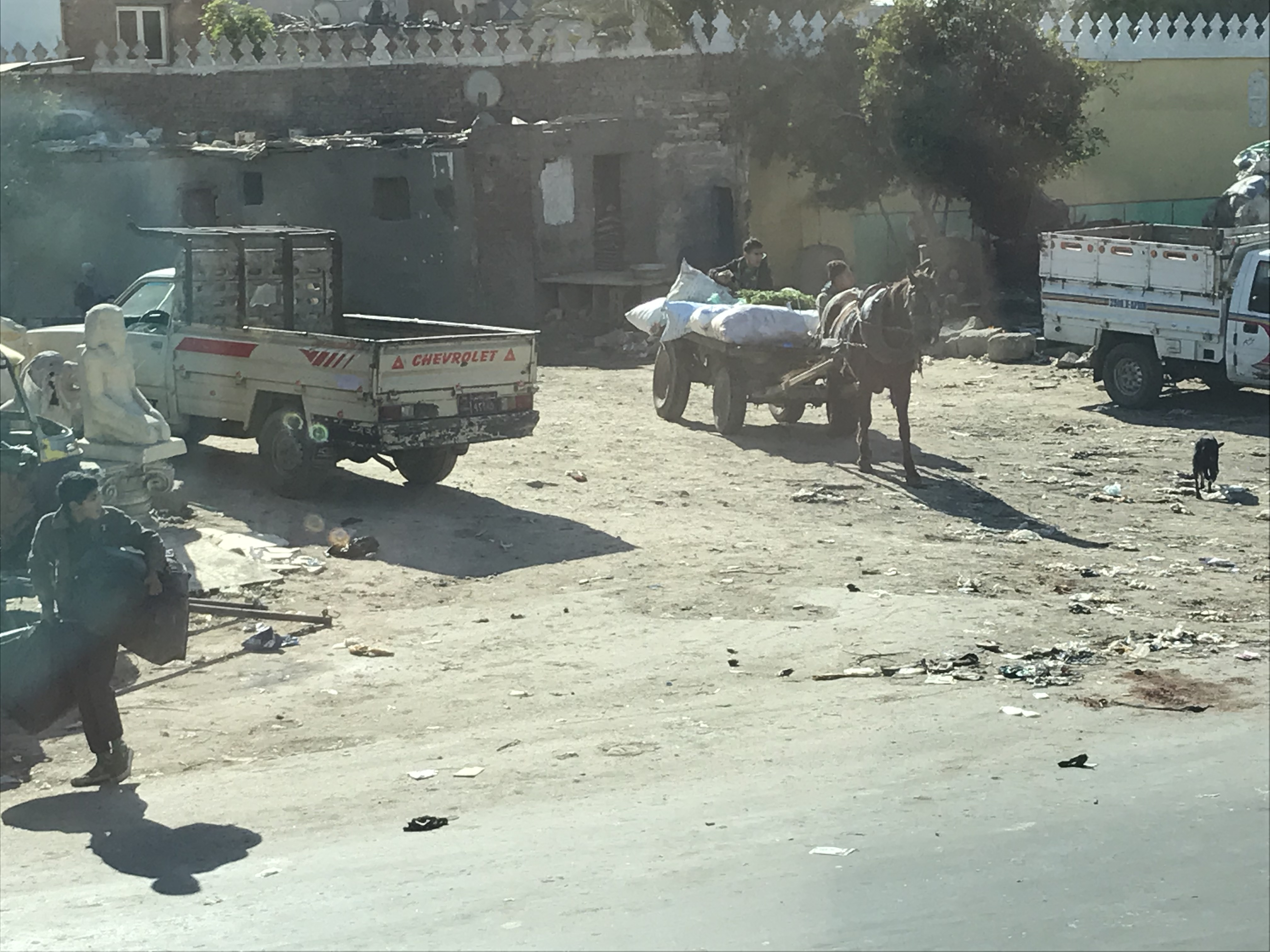 ./2018/16 - Egypt/12 - Cairo Day 4/IMG_4379.jpg